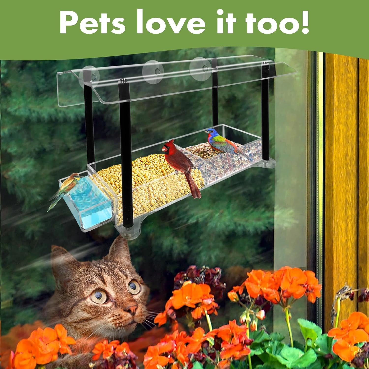 Window Bird Feeders For Outside Weather Proof Birdfeeder Transparent Bird House With Strong Suction Cups Bird Feeder For Window Perch Best Birdhouse Cat Gift